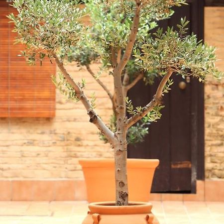 Apartamento Corral De Triana Sevilla Buitenkant foto